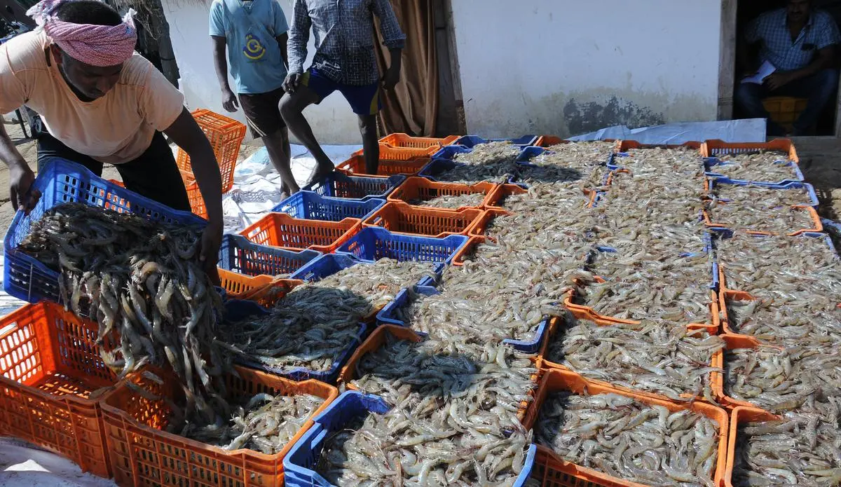 Ultimate Seafood Exporters Guide